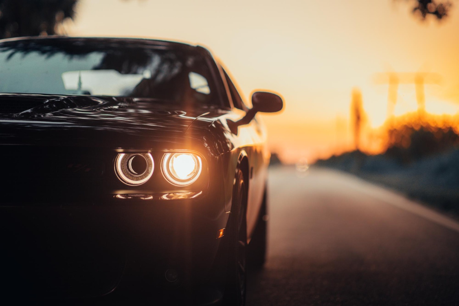 Elite Motor Cars of Miami
